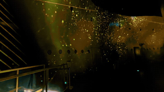 11月13日.2025-11-13 21_50_45.gif