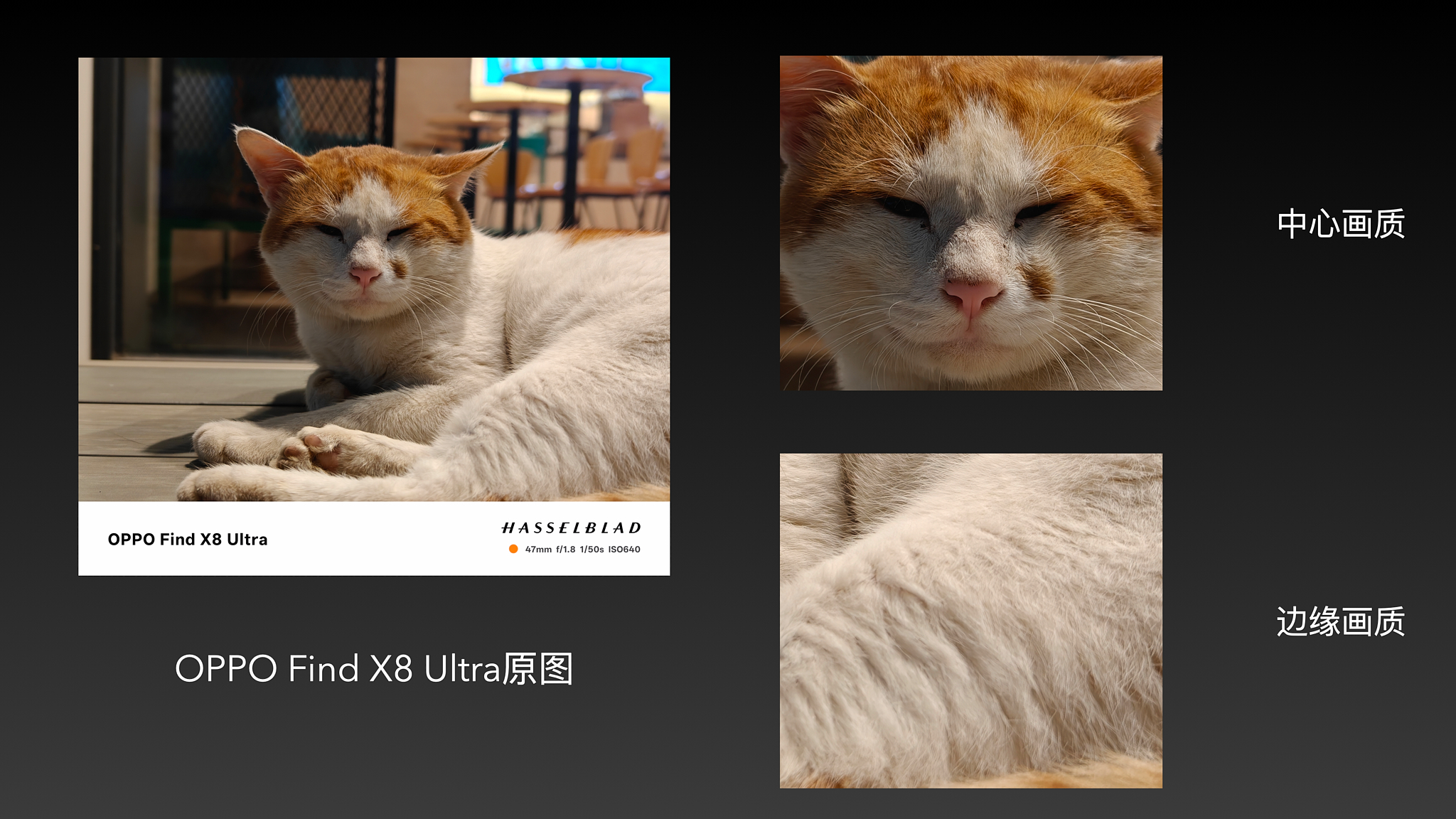 截屏2025-06-05 16.46.42.jpg