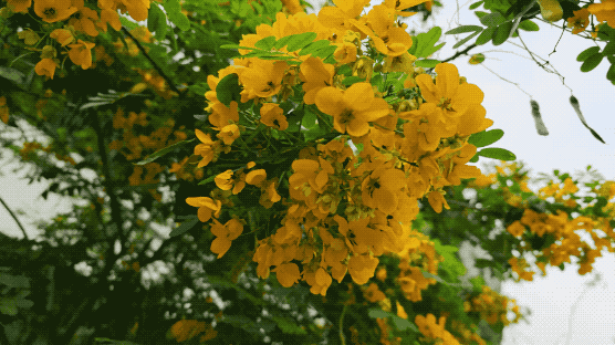 微信视频2026-04-19_115423_345.2026-04-19 12_11_34.gif