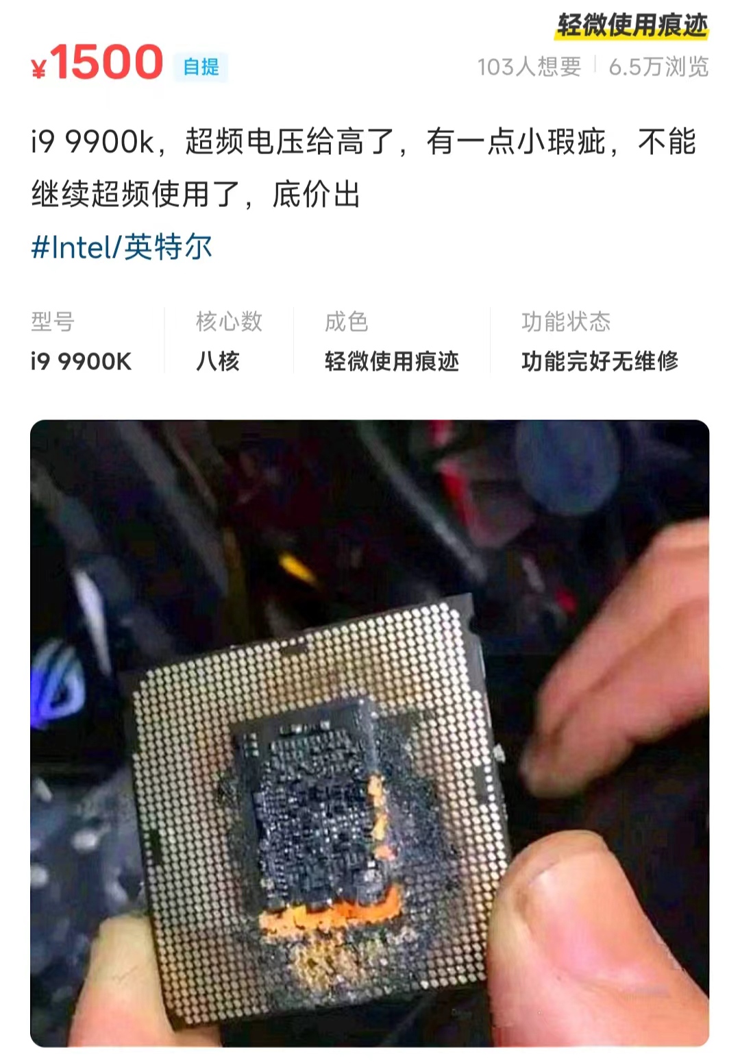 WechatIMG903.jpeg