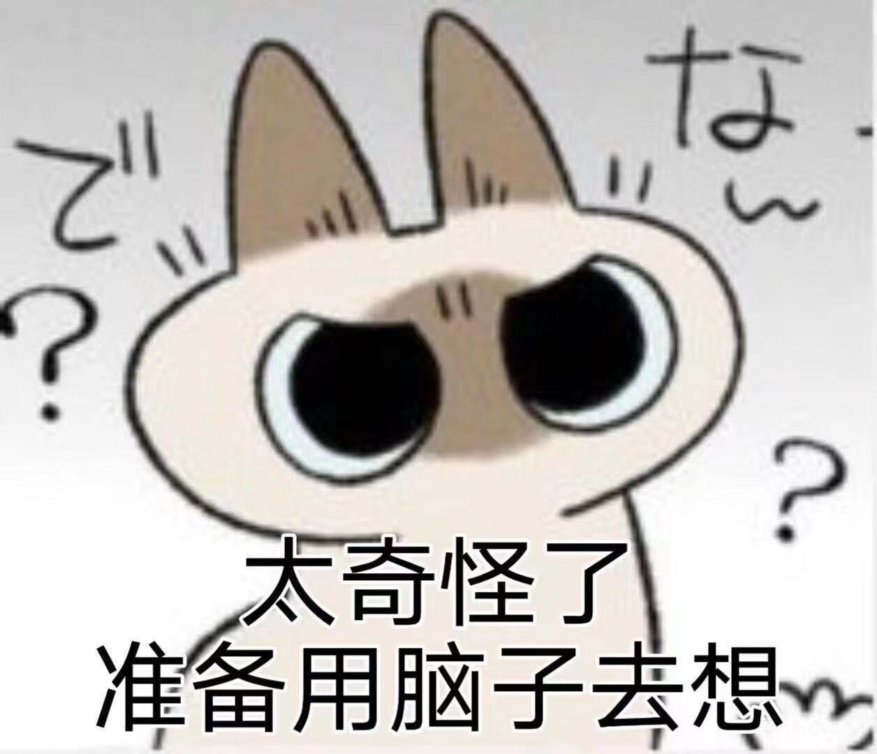 006APoFYly8gr8nxewqaxj30yw0u0tbc.jpg