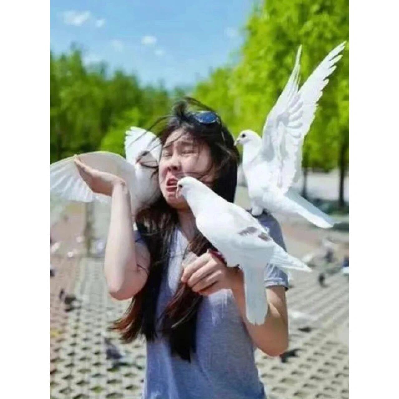 微信图片_20260605225807_27_329.jpg