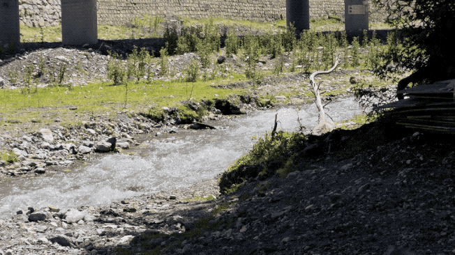 VID_20250714_133515_DOLBY.2025-08-09 16_05_23.gif