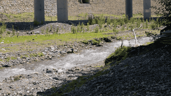 VID20250714133557.2025-08-09 15_58_50.gif