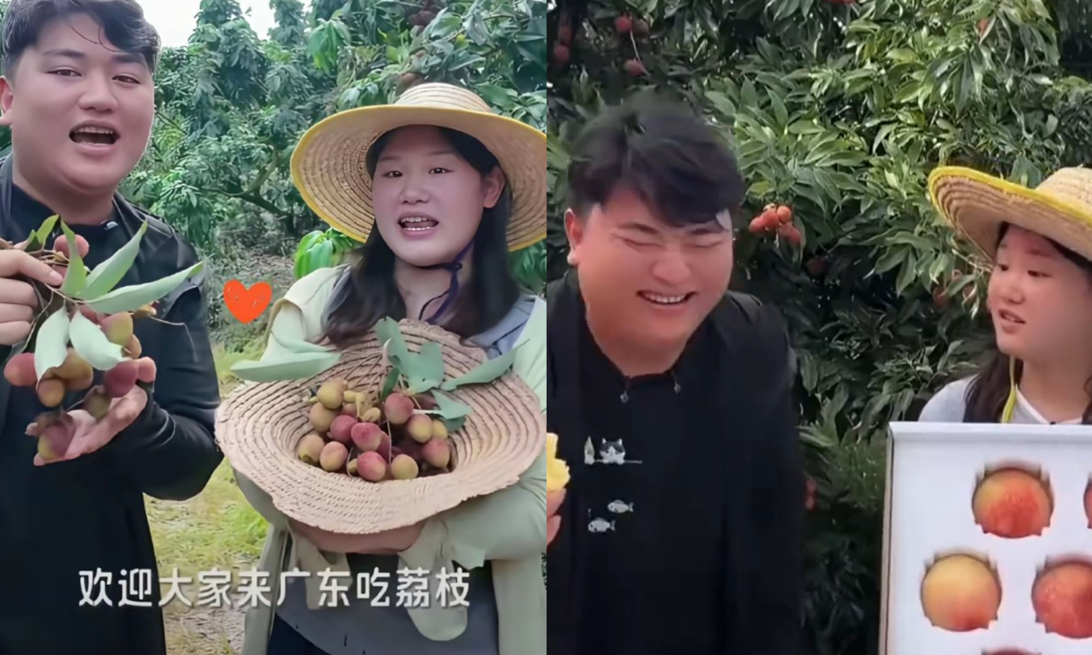 不靠剧本不炒作!全红婵哥哥联手张家齐直播,直接拿下榜一