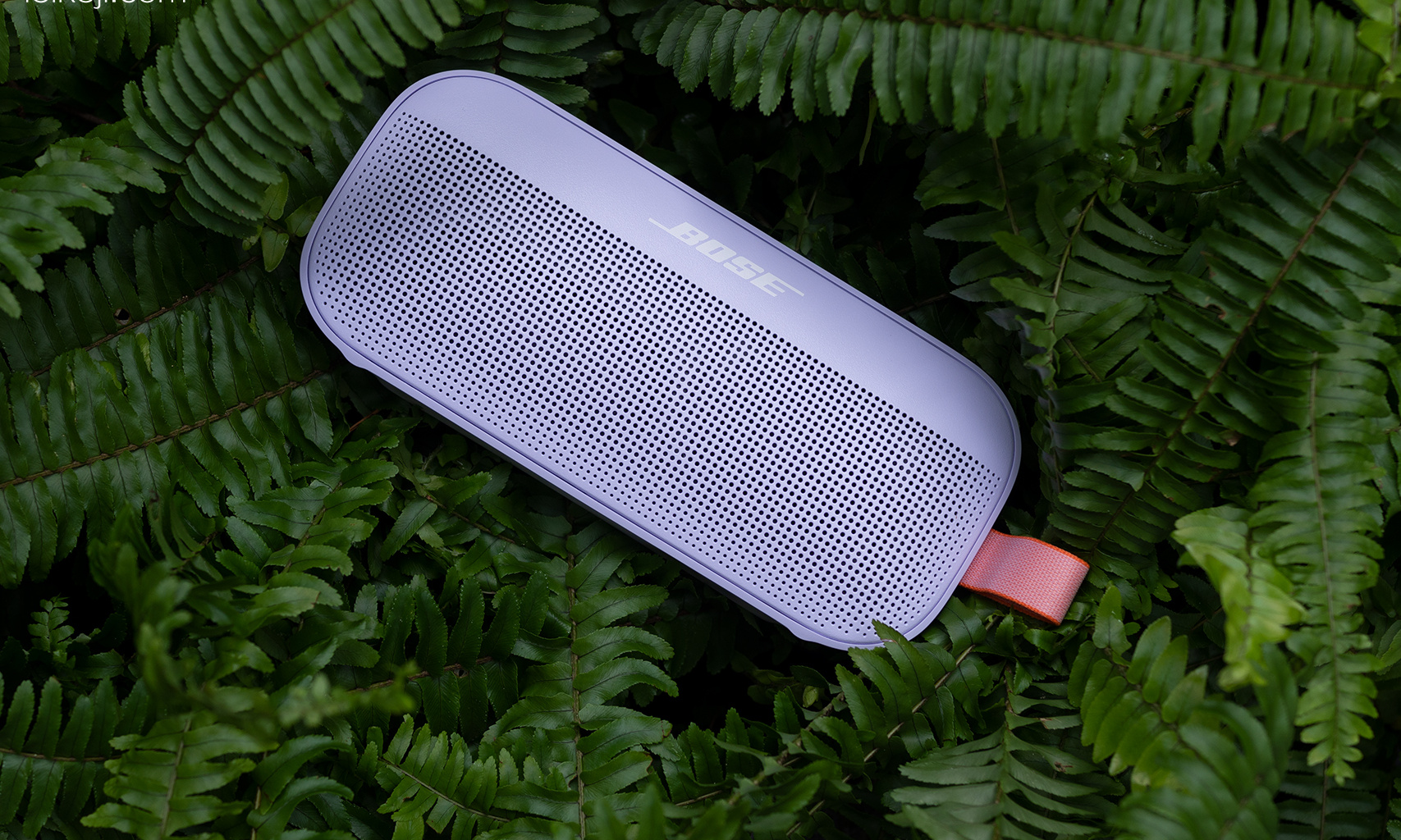 Bose SoundLink Flex评测：有小体积，也有好音质