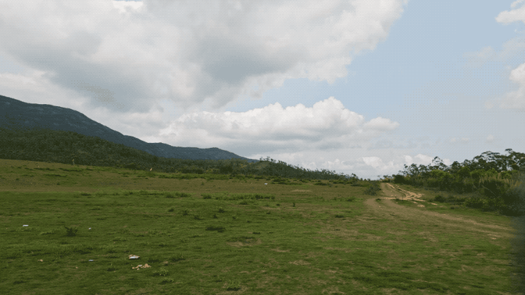 微信视频2026-04-19_115414_336.2026-04-19 12_14_48.gif