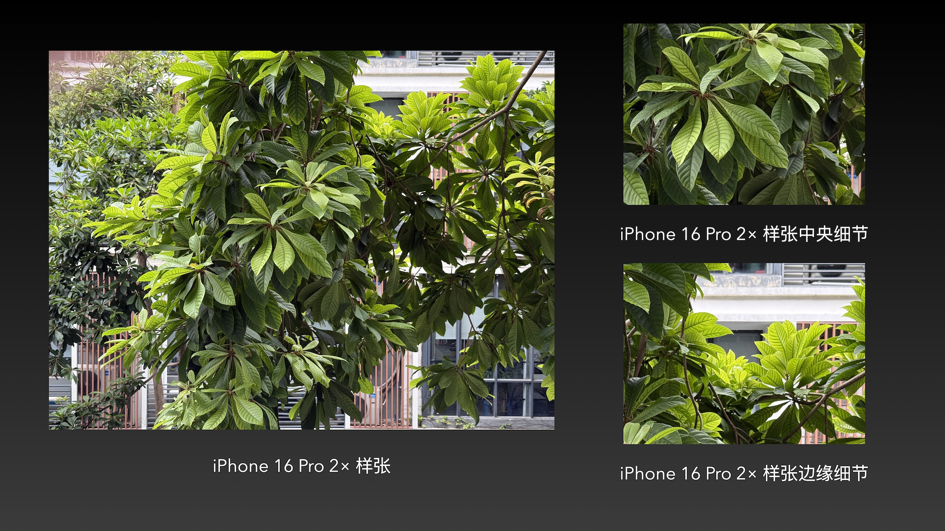 截屏2025-09-19 21.54.09.png