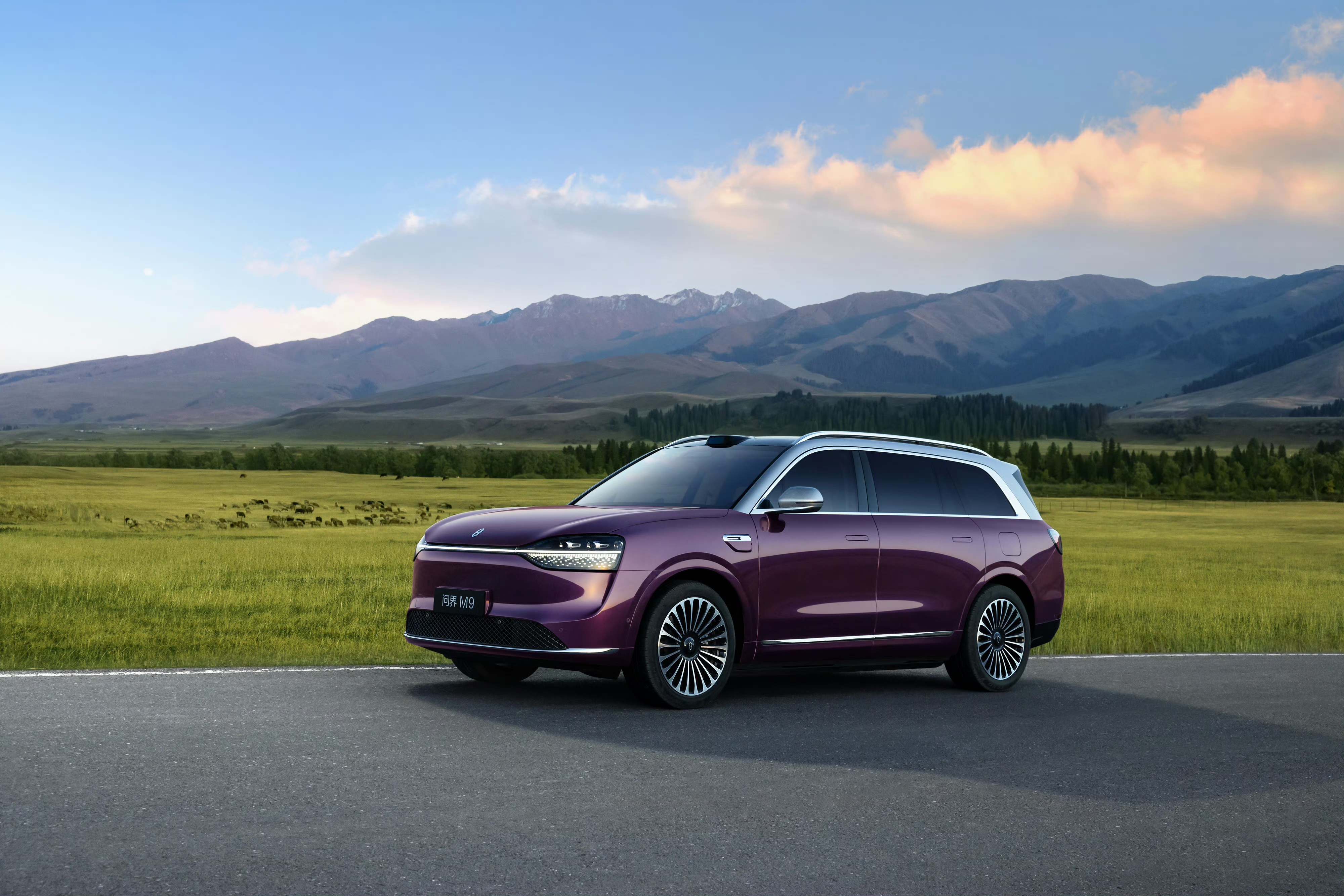 问界M9+2025款（3）.jpg
