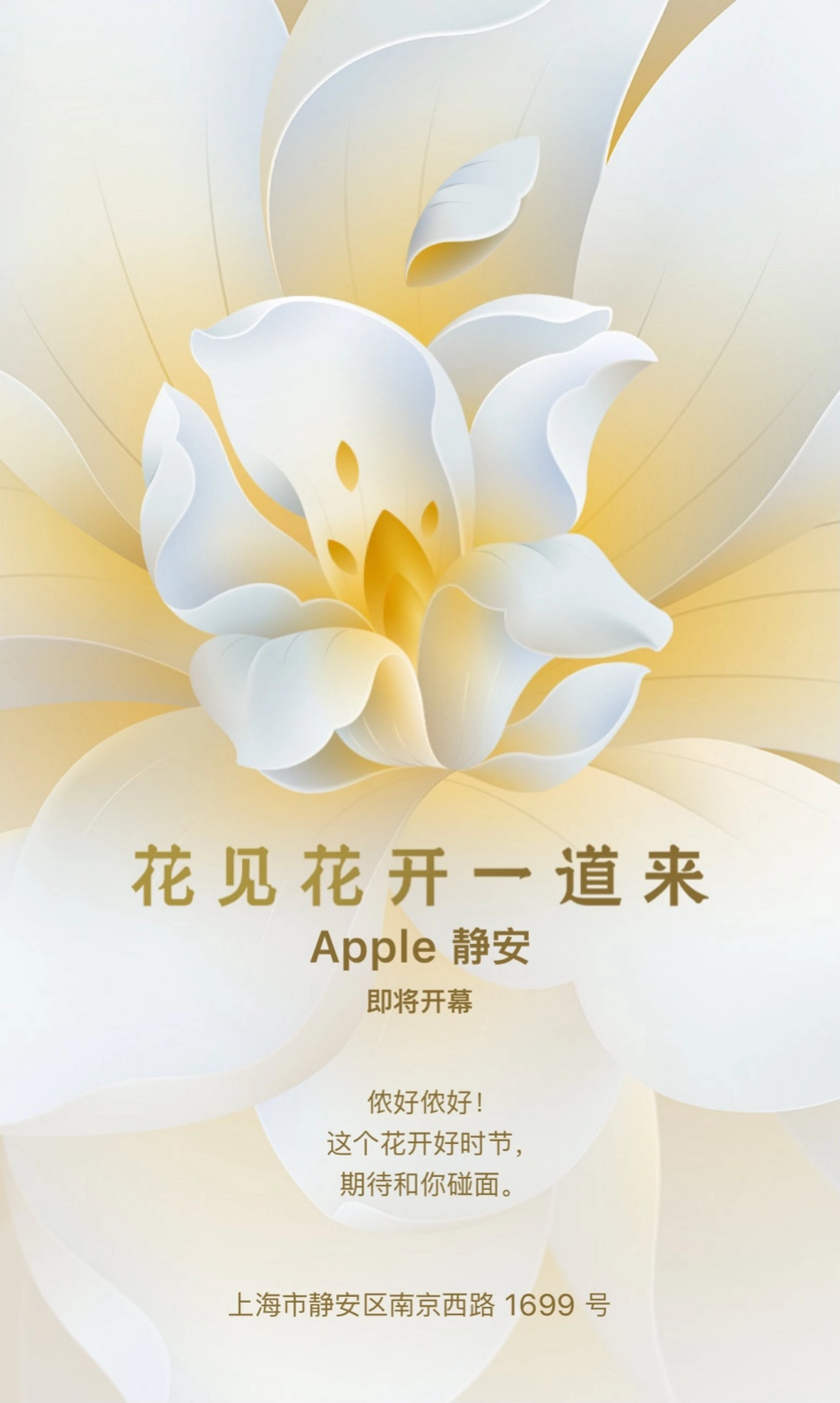 微信图片_20240308144210.png