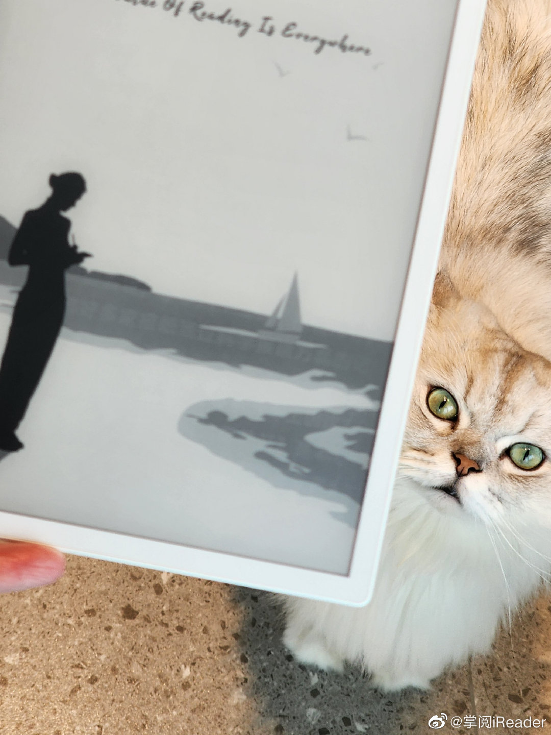 PG电子网站：墨水屏+白面板！掌阅预热新平板：为了护眼值得买吗？(图1)