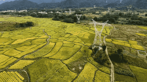 1月3日 (1).2026-01-03 18_47_26.gif