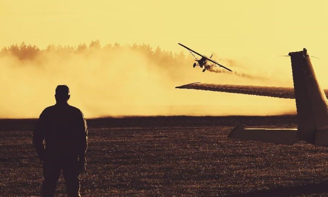 近百国家参与，超60万件投稿：2023华为影像大赛获奖作品正式揭晓