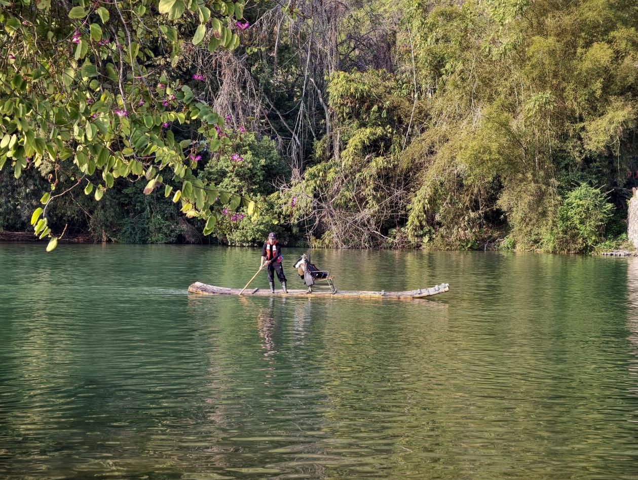 8d127865a6c8293ec77e0d58a4240dd6