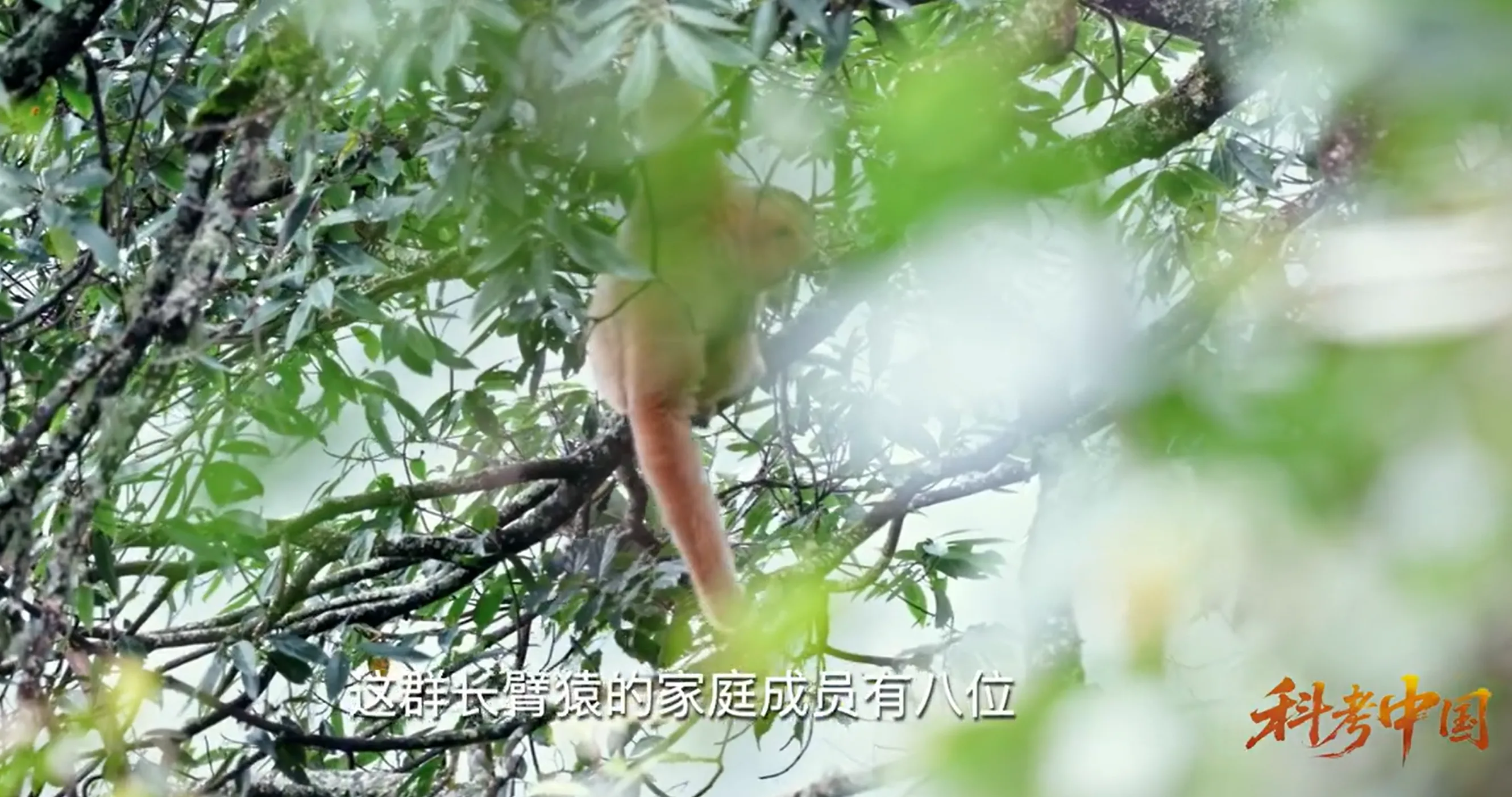 93eec7f9-8593-4b7d-a080-b948c2843c85.png
