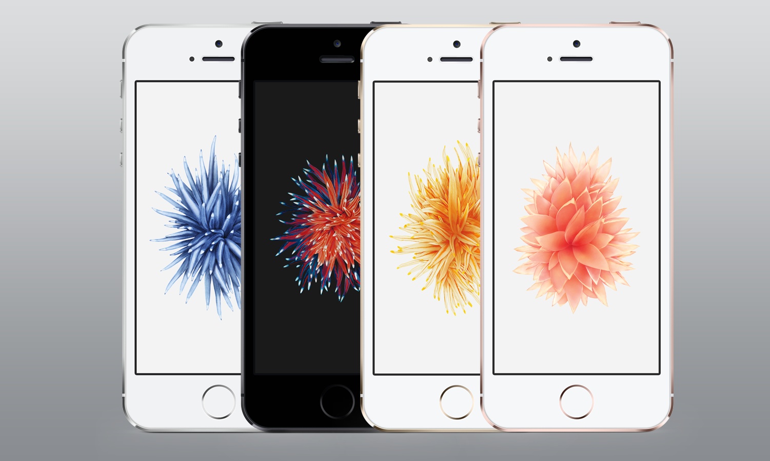 突然 苹果推出1500元新iphone 不给安卓机留活路 雷科技 突然 苹果推出1500元新iphone 不给安卓机留活路 雷科技