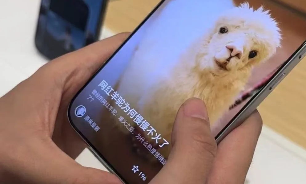 教科书级公关!荣耀魔法画报事件反转,官方不追责,网友赞格局大