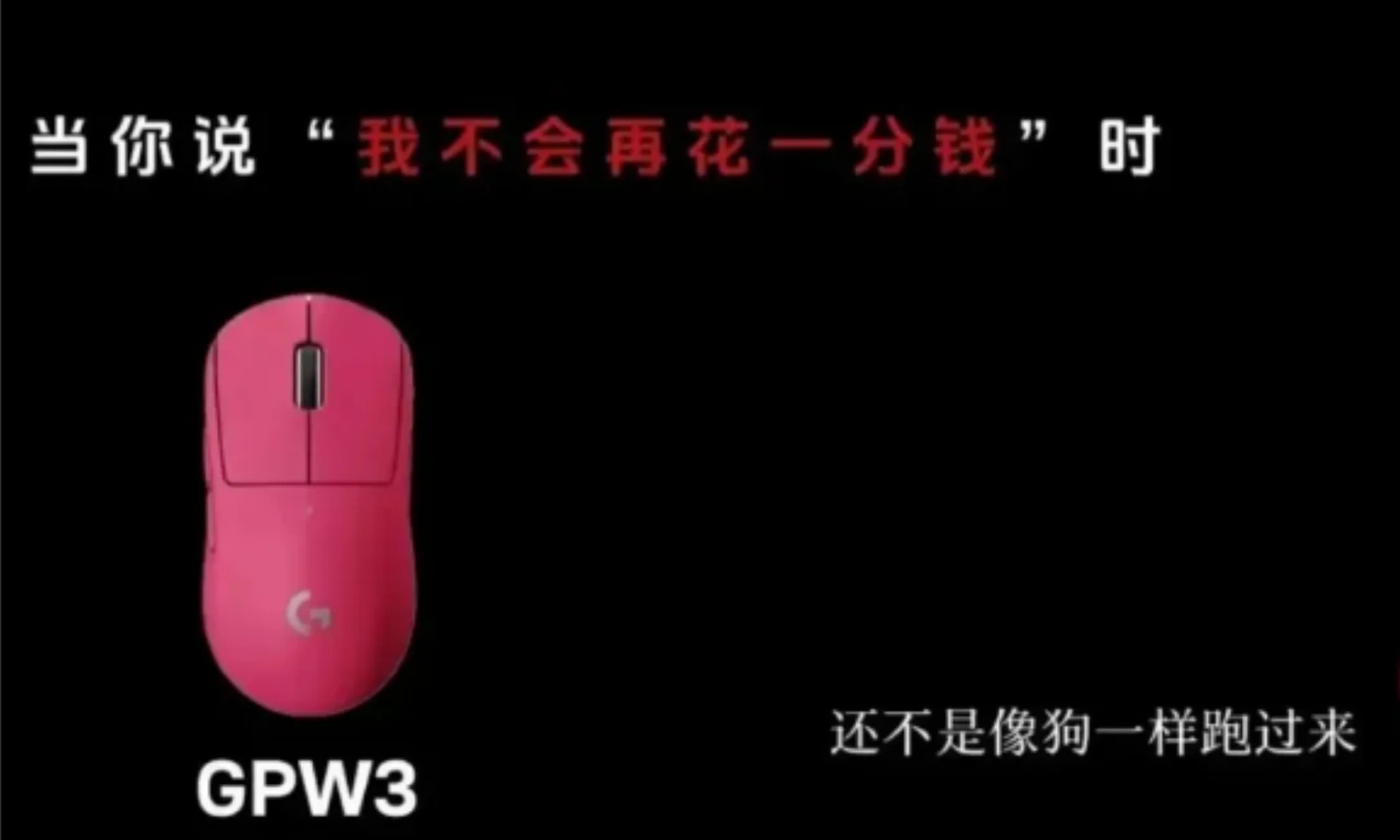罚20万赚27亿！罗技发布最新财报，骂完消费者后依旧卖爆