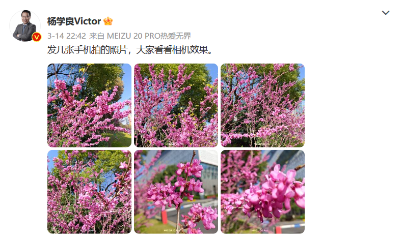 微信截图_20230316161842.png