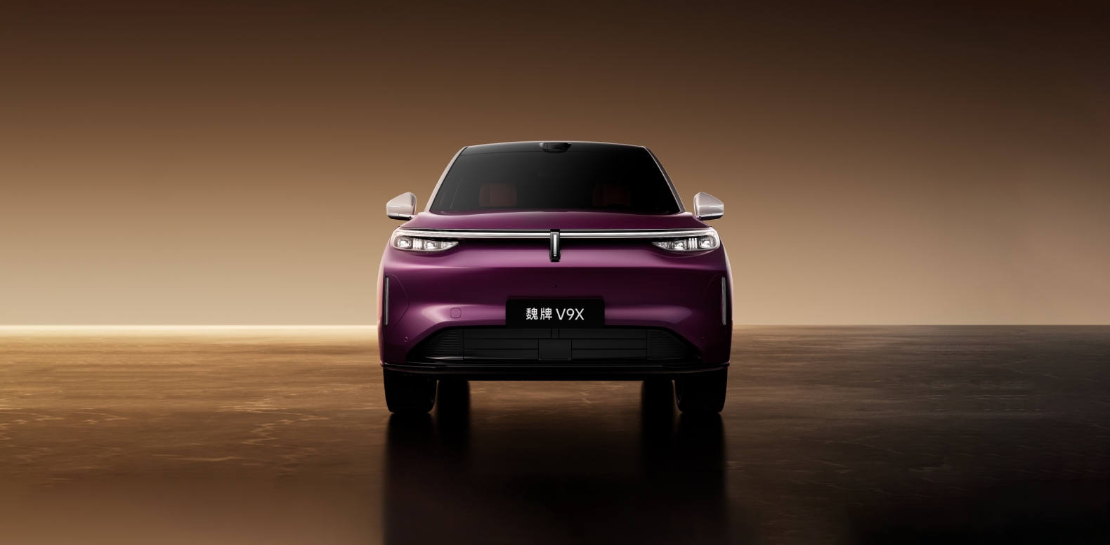 魏牌V9X.jpg