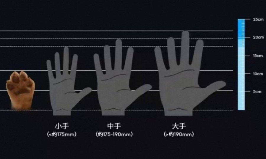 罗技再次翻车！宣传页惊现狗爪与人手同框对比图，网友彻底怒了