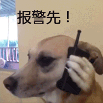 006APoFYly8hcbyz64cpgg305u05uws9.gif