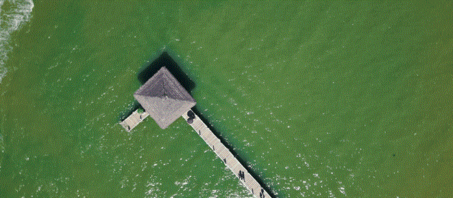 1241013222539332.gif