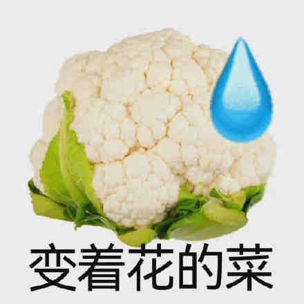 玩偶姐姐被曝炒币赚2亿元!要退休不拍片了?