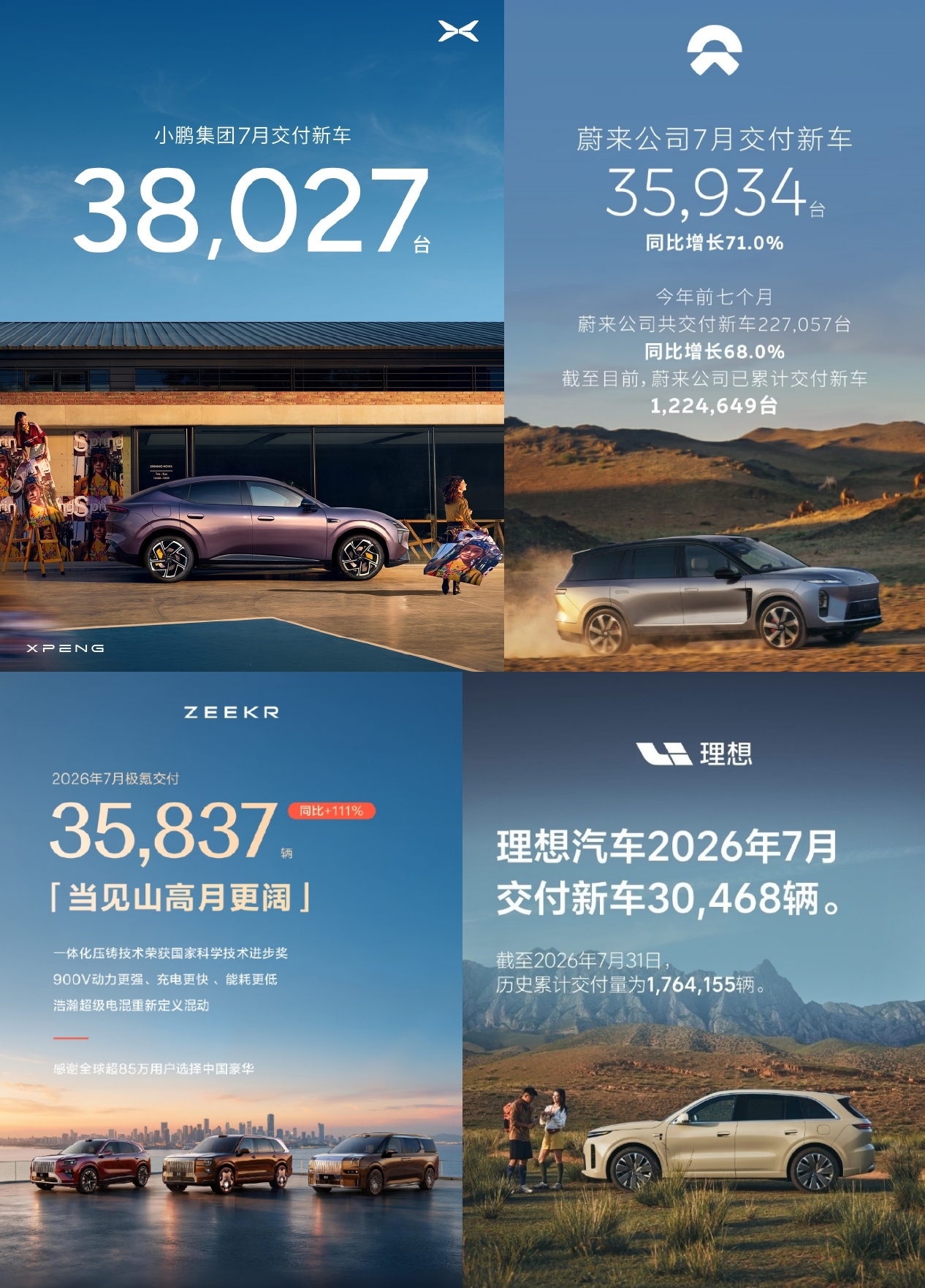 7892445.jpg