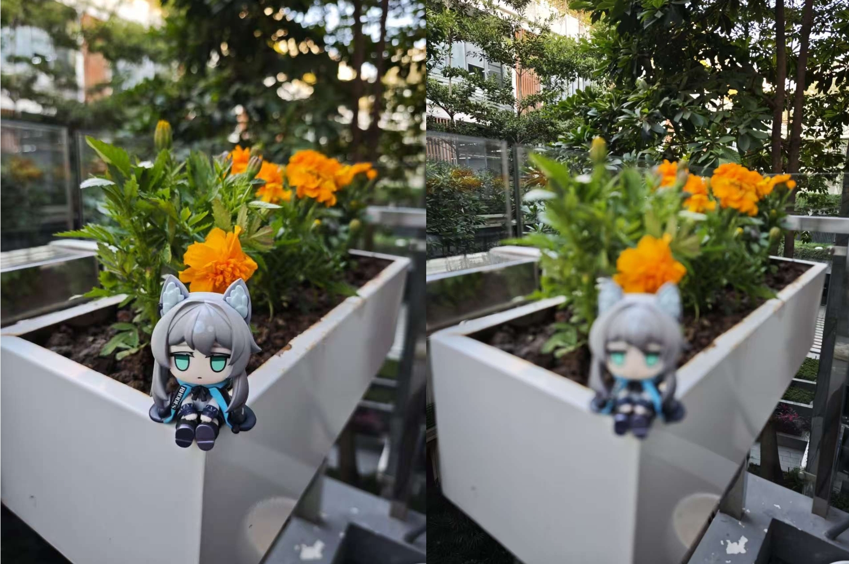微信截图_20250105015510.png
