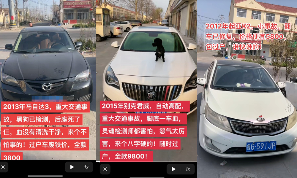 网红卖“死人车”有多狠？黑狗驱邪，3800全款提车