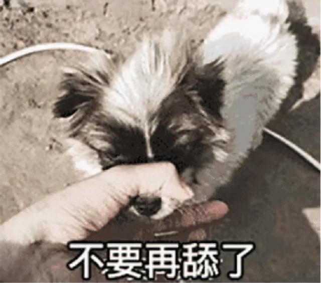 雷科技>小雷哔哔>正文>舔狗舔到最后,一无所有,这