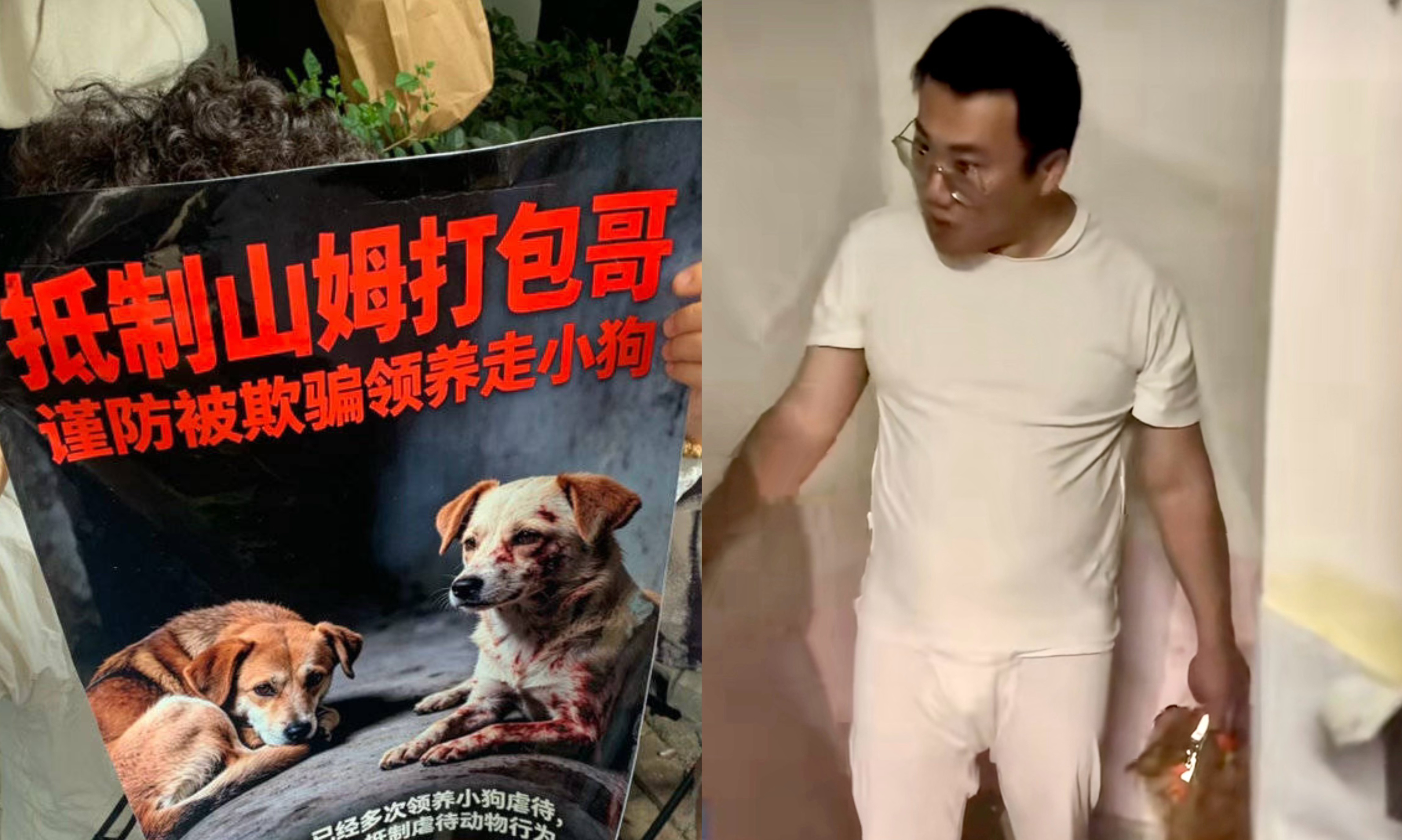 山姆“打包哥”彻底凉凉!虐宠恶行曝光,网友怒骂三天三夜