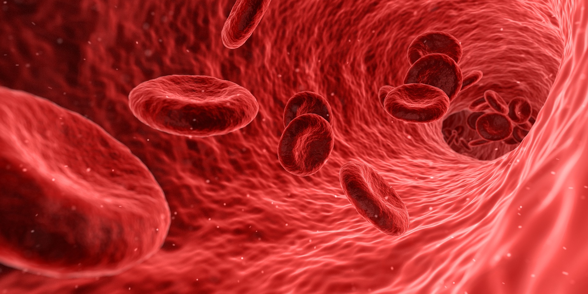 blood-ga4837a77b_1920.jpg