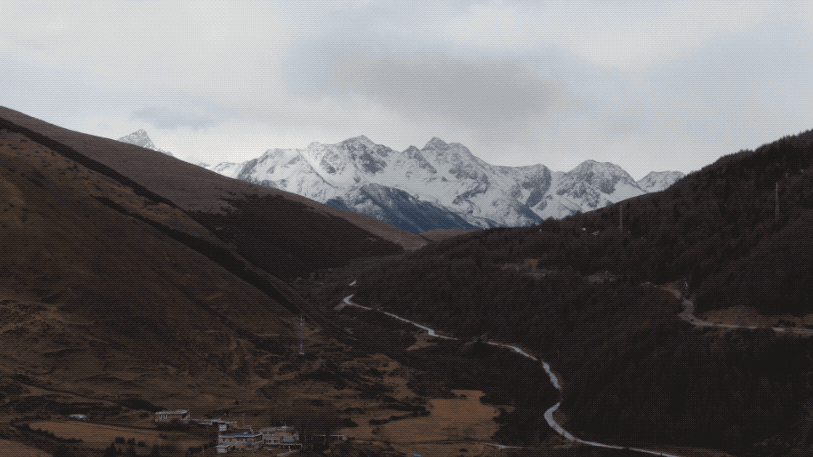 5月9日(24).2025-05-11 02_49_59.gif