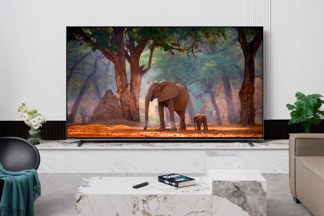 微信图片_2025-11-13_093947_924