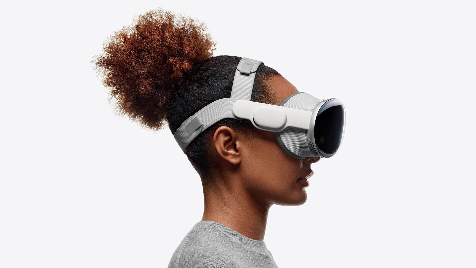 vision-pro-dual-loop-model.jpg