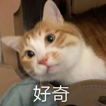 0068Lfdegy1gatwtr6l4aj30j60j63zh.jpg