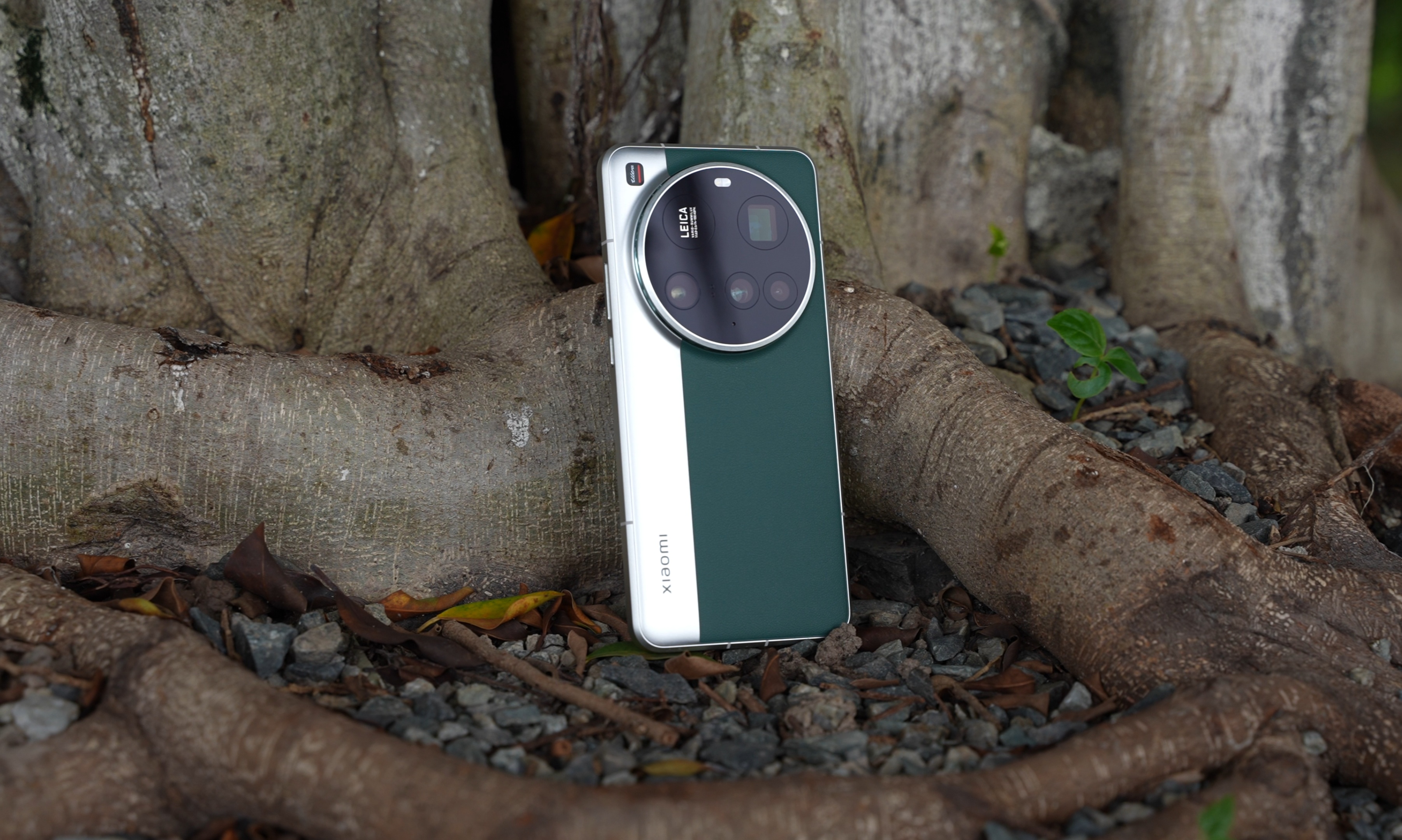 富士免费开放LUT方案！“富士味”烂大街后，手机影像何去何从？