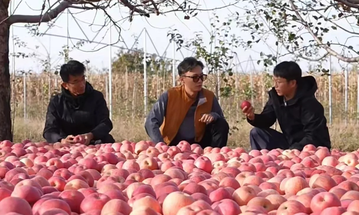 孙东旭开始发力了!新公司正式开售自营品,首推洛川苹果打头阵