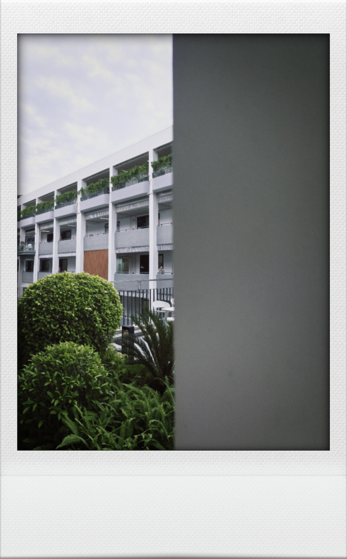 IMG20260522180453.jpg