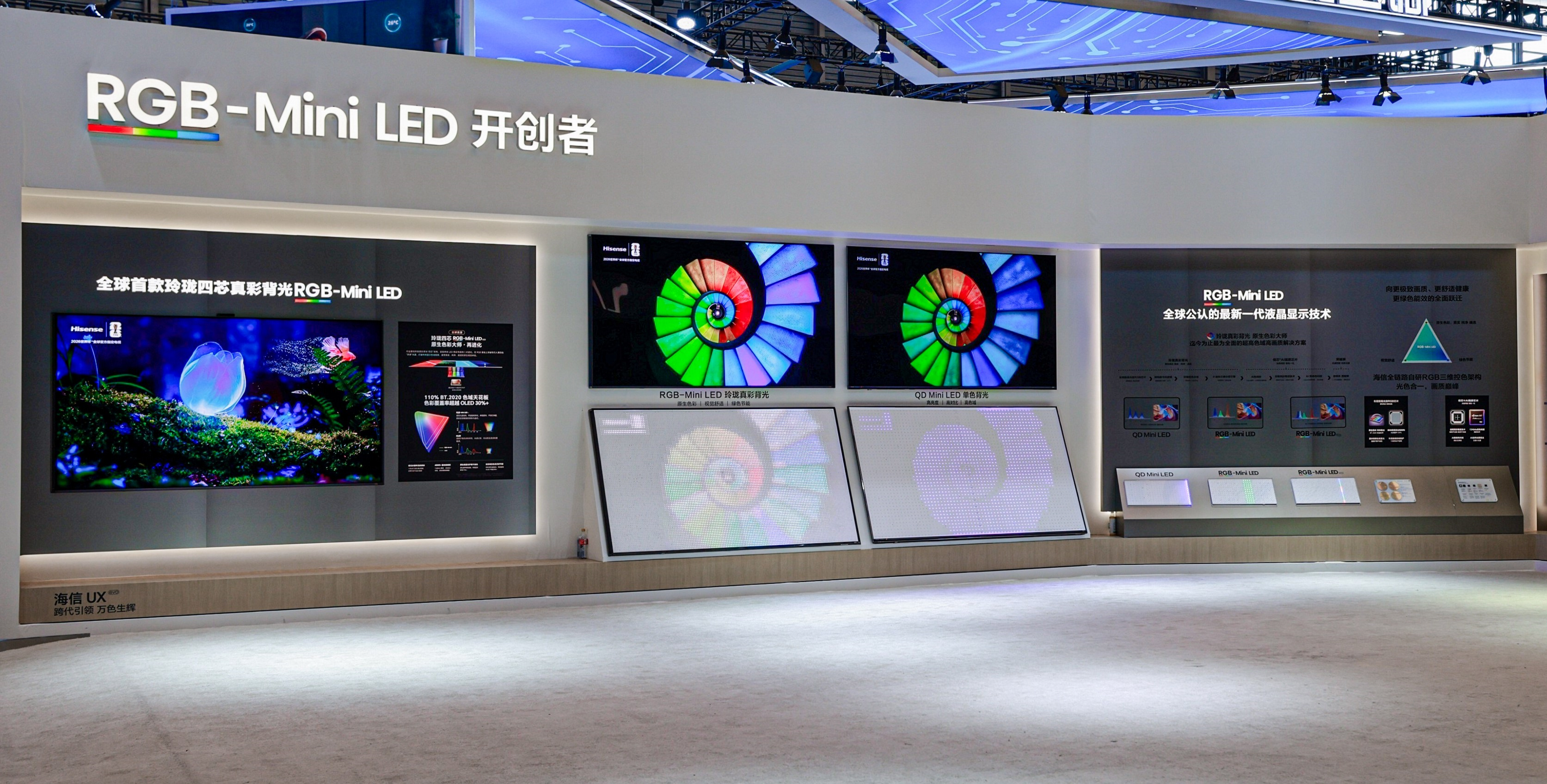 XYOO8081-opq443038419211