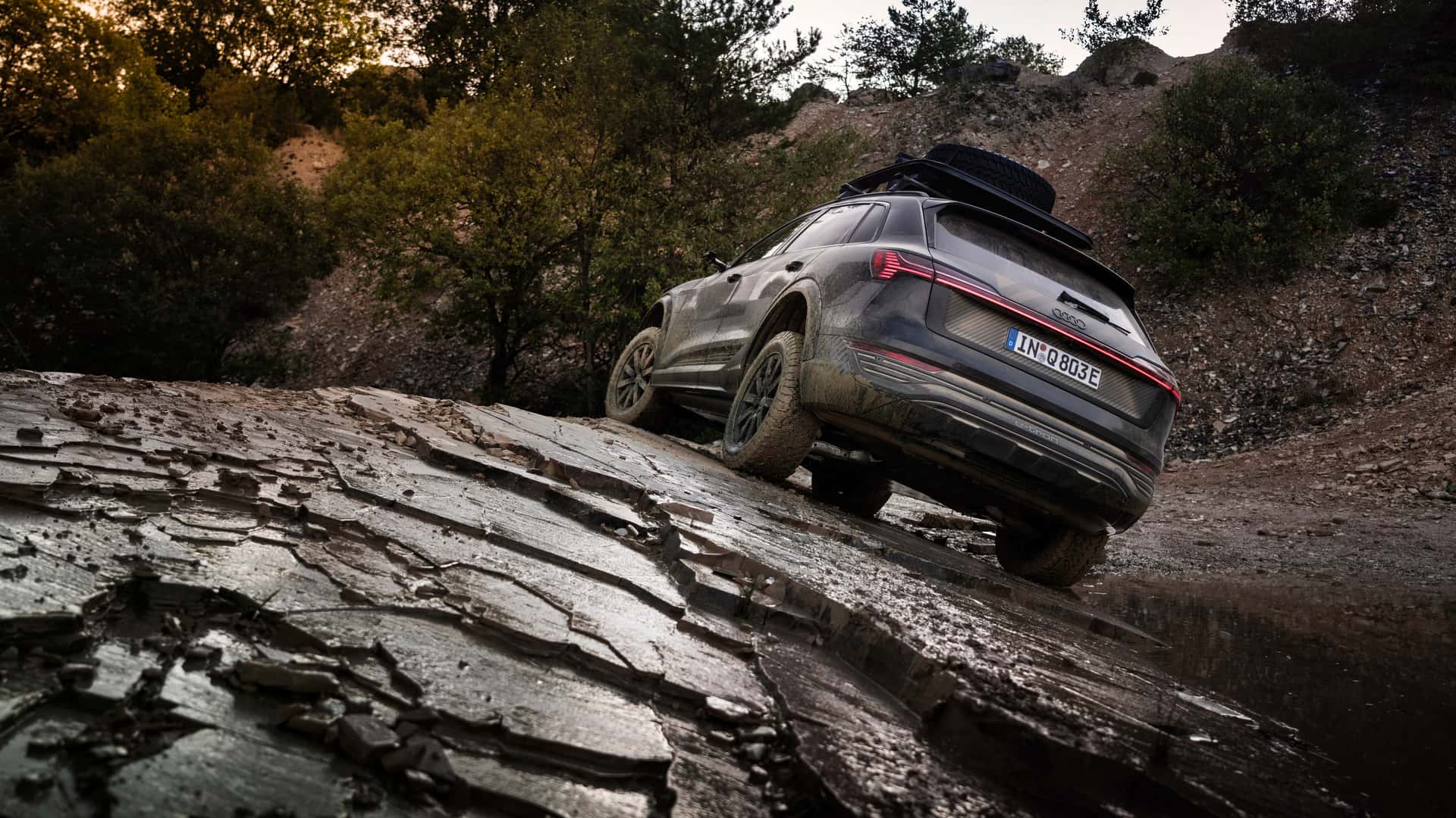 audi-q8-e-tron-edition-dakar (5).jpg