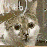 ceeb653ely8hax4jshp0bg205k05mu0x.gif