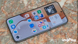IMG_u6p792.gif