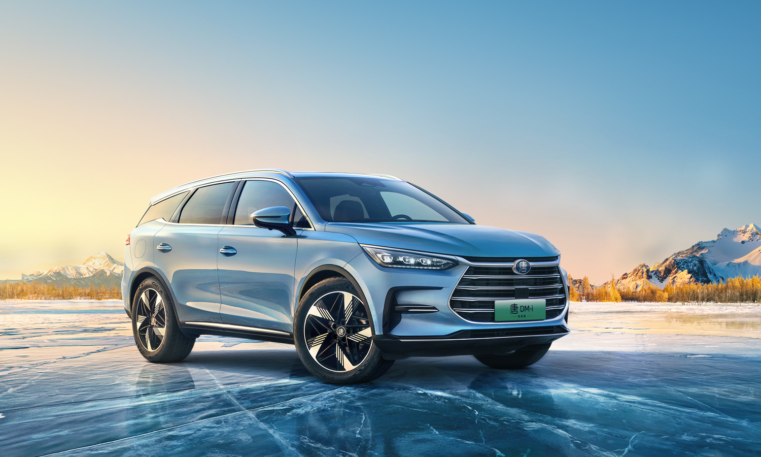 新能源汽车价格屠夫比亚迪，这次要把车保费用打下来