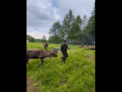 video-to-gif-1783393610128.gif
