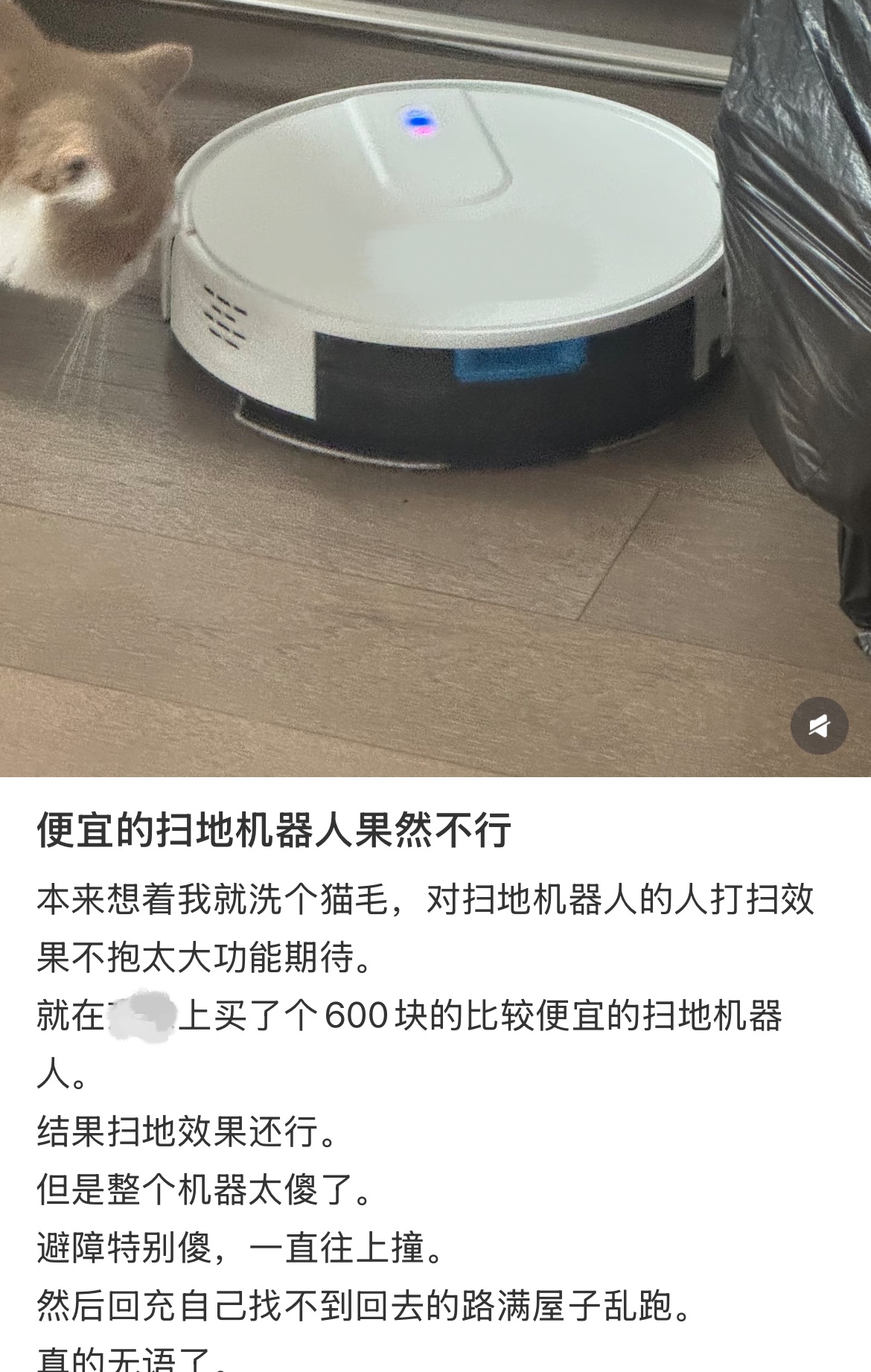Picsew_20260713193321.JPEG