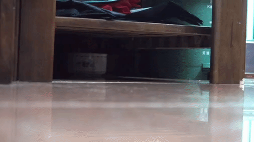 gt_202593_26534_v_gif.gif