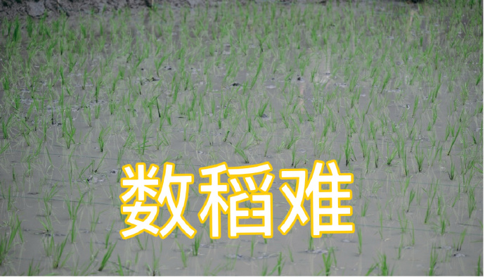 1243066e-29da-4e00-815c-689311cb3342.png